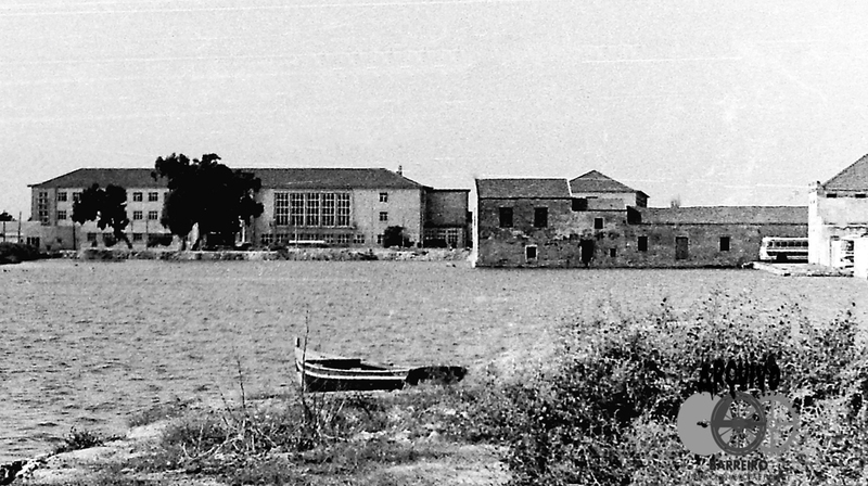 PICT0001 copyp.jpg PICT0001 copyp.jpg