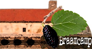logo-bramcamp5site (1).png logo-bramcamp5site (1).png